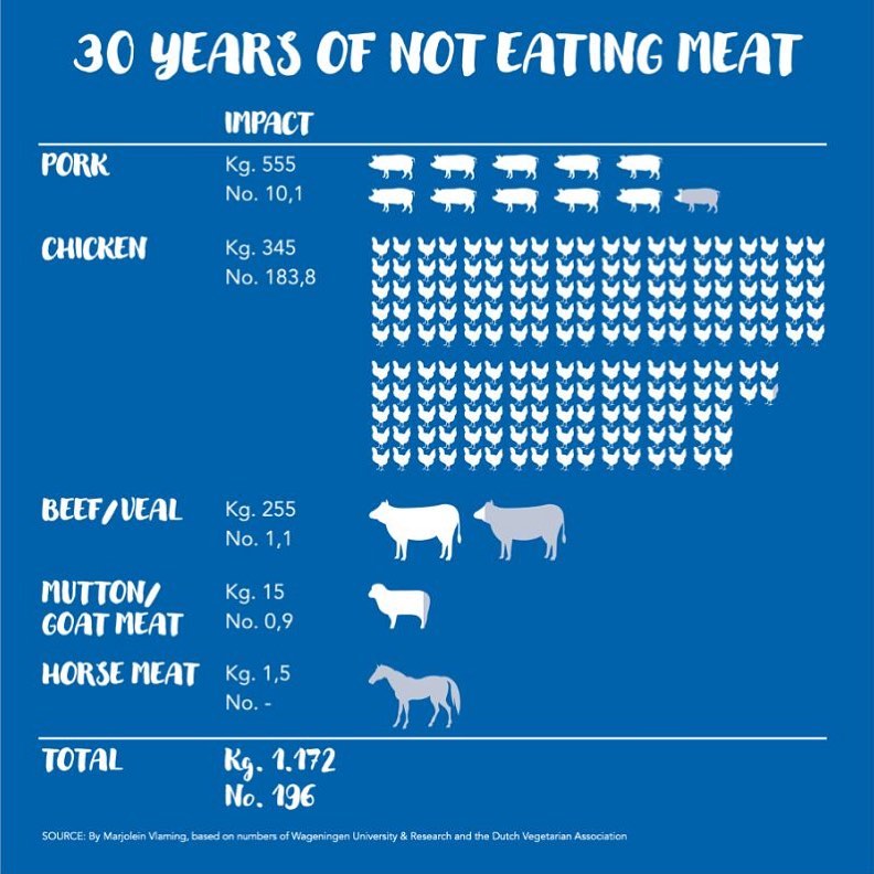 Zo ver ben ik nog niet maar toch ruim over de helft. Een infographic met aantallen dieren die door mij niet opgegeten zijn/worden in 30 jaar, berekend naar de gemiddelde Nederlandse vleesconsumptie door Marjolein Vlaming in #nrc. De impact van een individu in een plaatje. #govegetarian #govegan