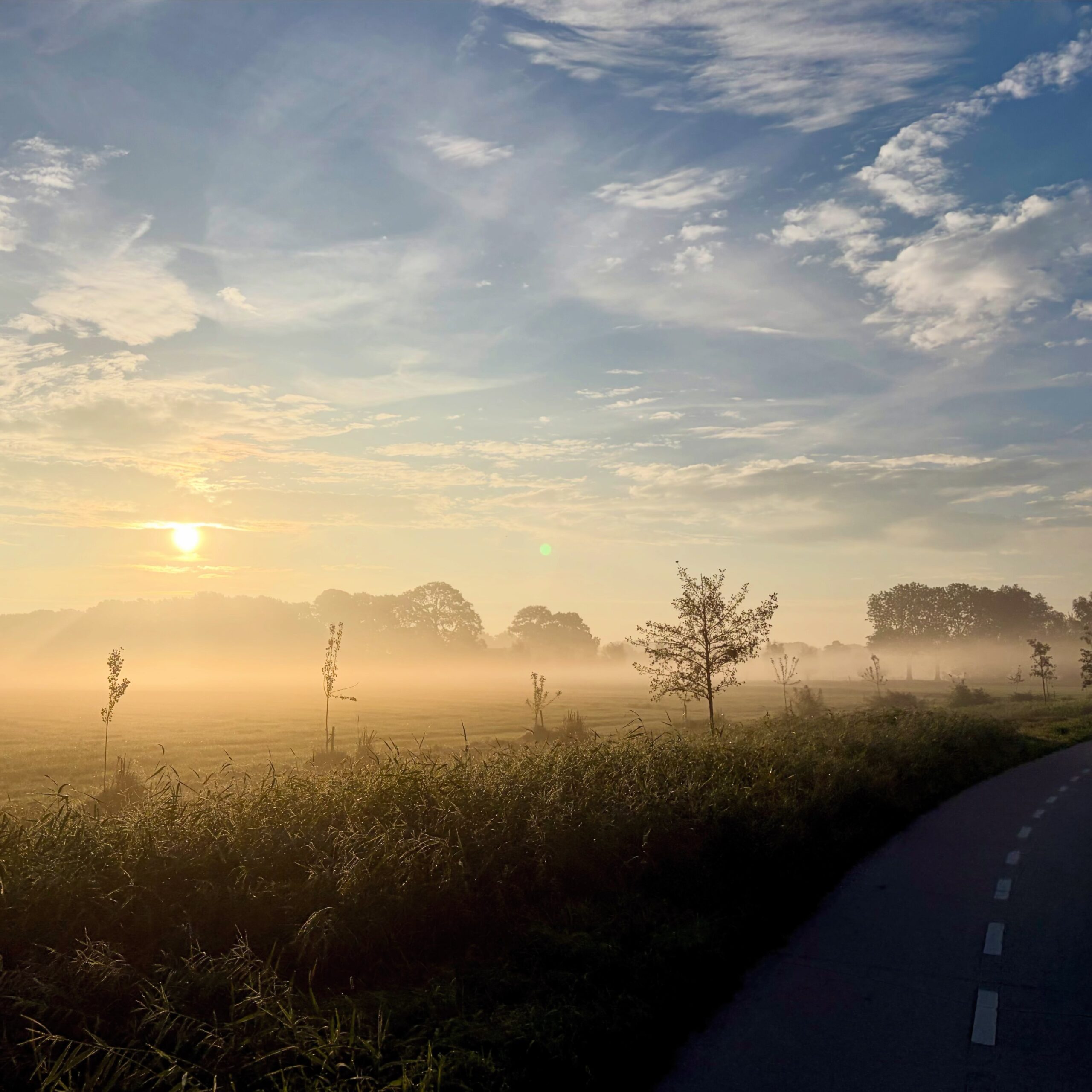 Vorige week Hamburg, de week ervoor Frankrijk en nu op de fiets naar Isala. Nederland is ook mooi en Zwolle in het bijzonder.