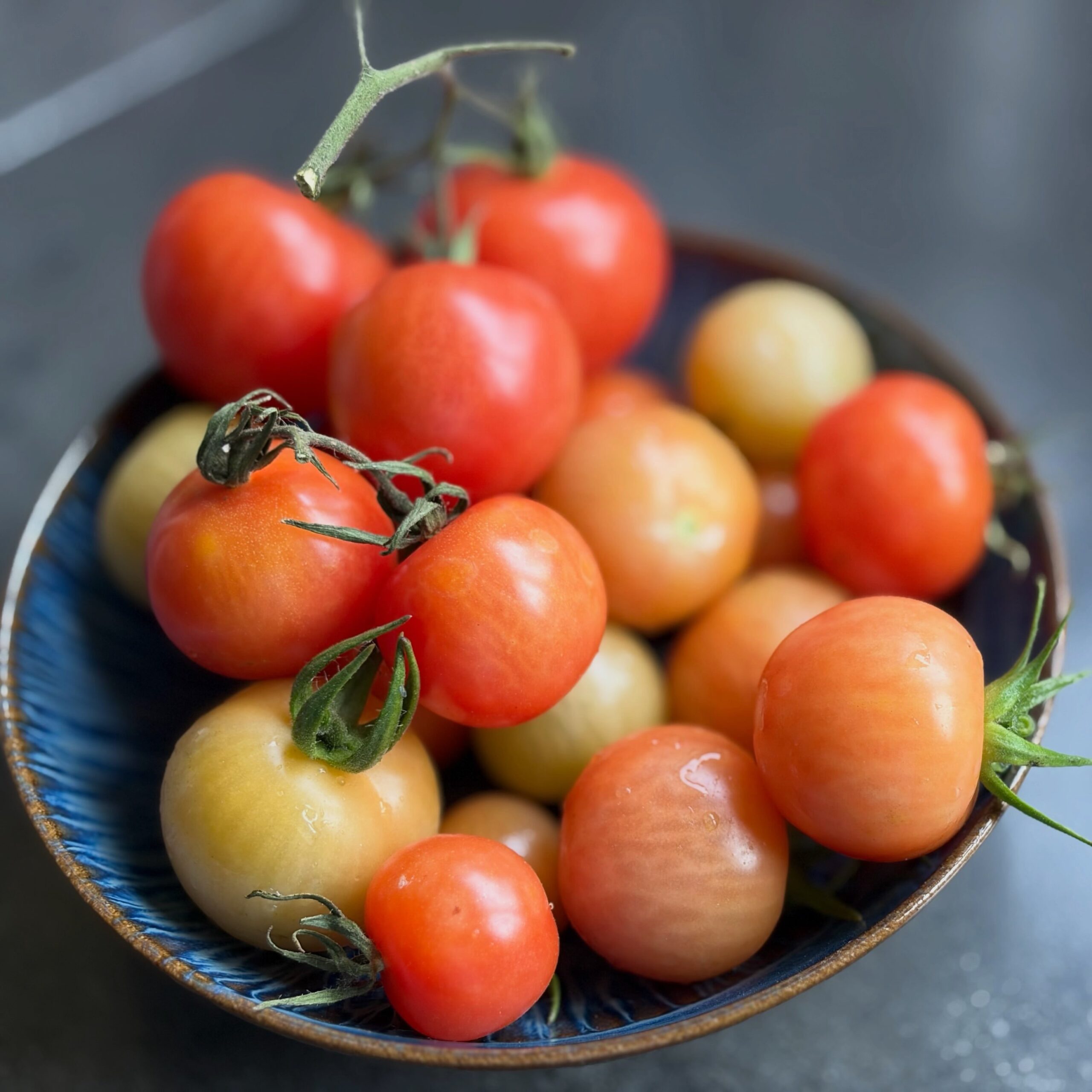Nog altijd tomaten  uit de moestuin